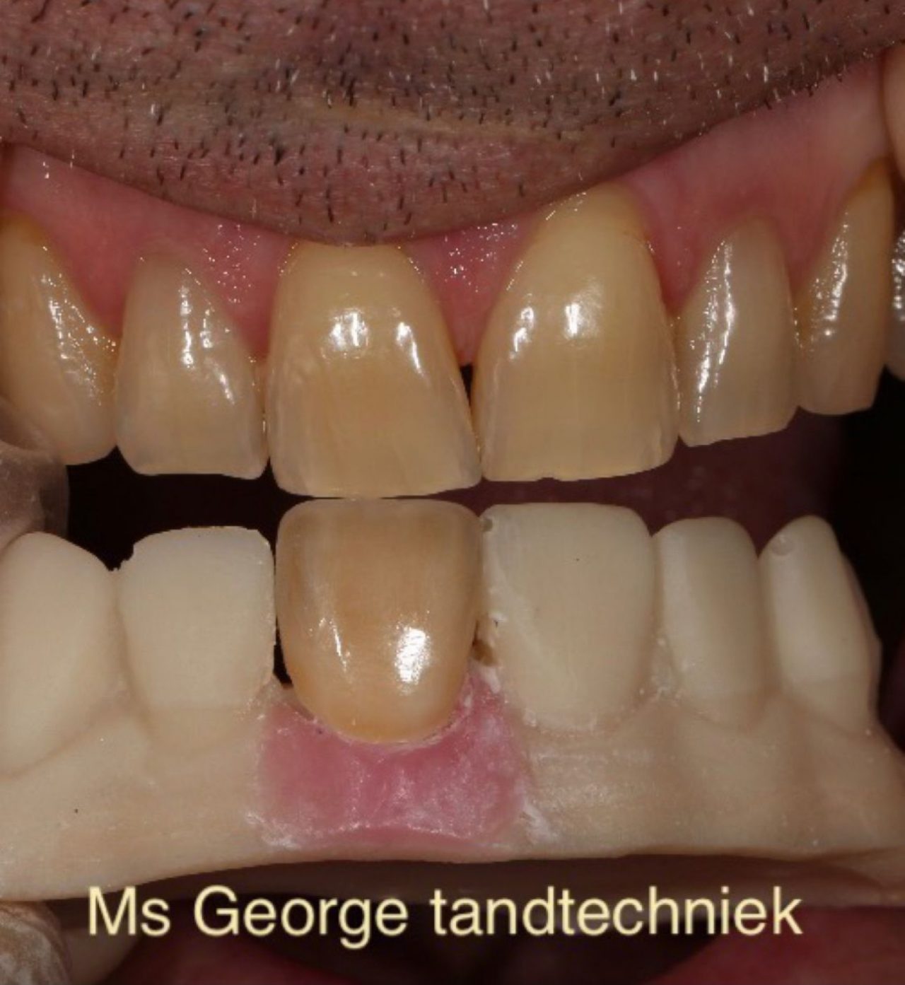 Ms George Tandtechniek © 2024